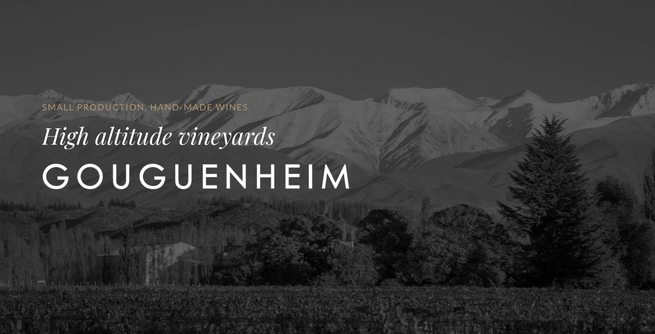 Throwback Thursday with High Altitude Wine Brunch