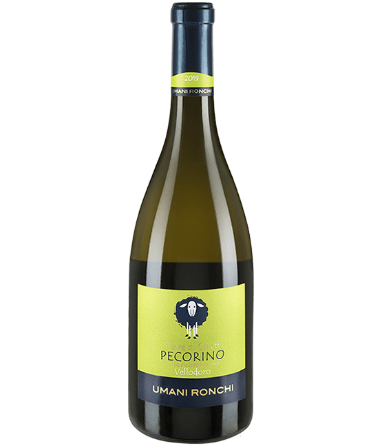 International Wine Umani Ronchi Pecorino Vellodoro