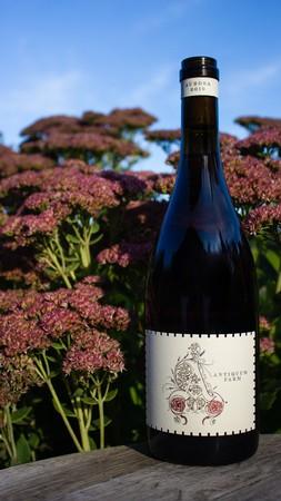 Pinnacle Imports Wine Antiquum Aurosa Pinot Gris